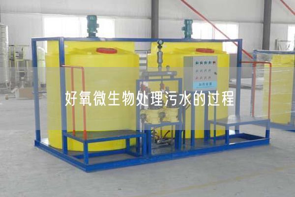 好氧微生物处理污水的过程(图1)
